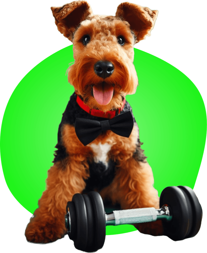 Doggie daycare Amazing Pet Grooming